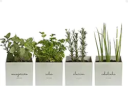 Kit 4x Vasos Autoirrigáveis Minha Horta Branco Cinza Creme Rosa Salmão Jardim Hortaliças Manjericão Salsa Alecrim Cebolinha (Cinza)