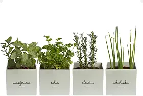 Kit 4x Vasos Autoirrigáveis Minha Horta Branco Cinza Creme Rosa Salmão Jardim Hortaliças Manjericão Salsa Alecrim Cebolinha (Cinza)