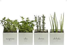 Kit 4x Vasos Autoirrigáveis Minha Horta Branco Cinza Creme Rosa Salmão Jardim Hortaliças Manjericão Salsa Alecrim Cebolinha (Cinza)