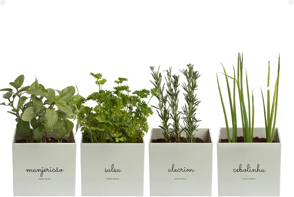 Kit 4x Vasos Autoirrigáveis Minha Horta Branco Cinza Creme Rosa Salmão Jardim Hortaliças Manjericão Salsa Alecrim Cebolinha (Cinza)