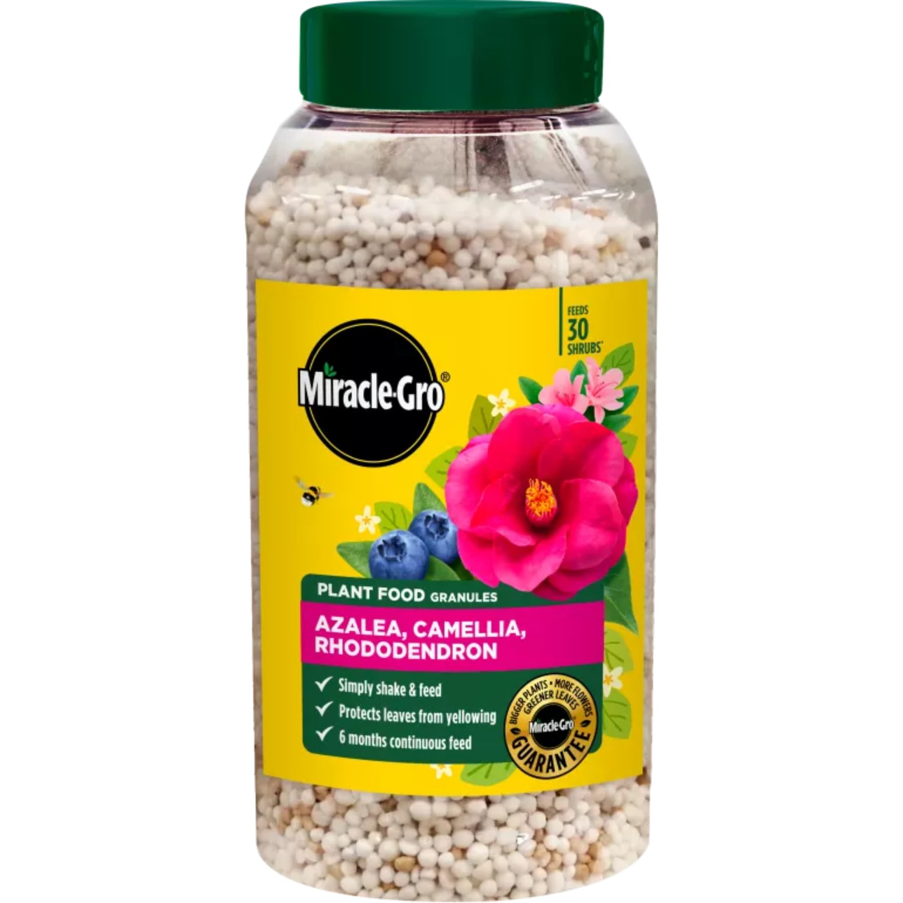 Miracle-Gro Azalea, Camellia & Rhododendron Continuous Release Plant Food 900g – Specialized Feed for Acid-Loving Plants – Up to 6 Months Nourishment