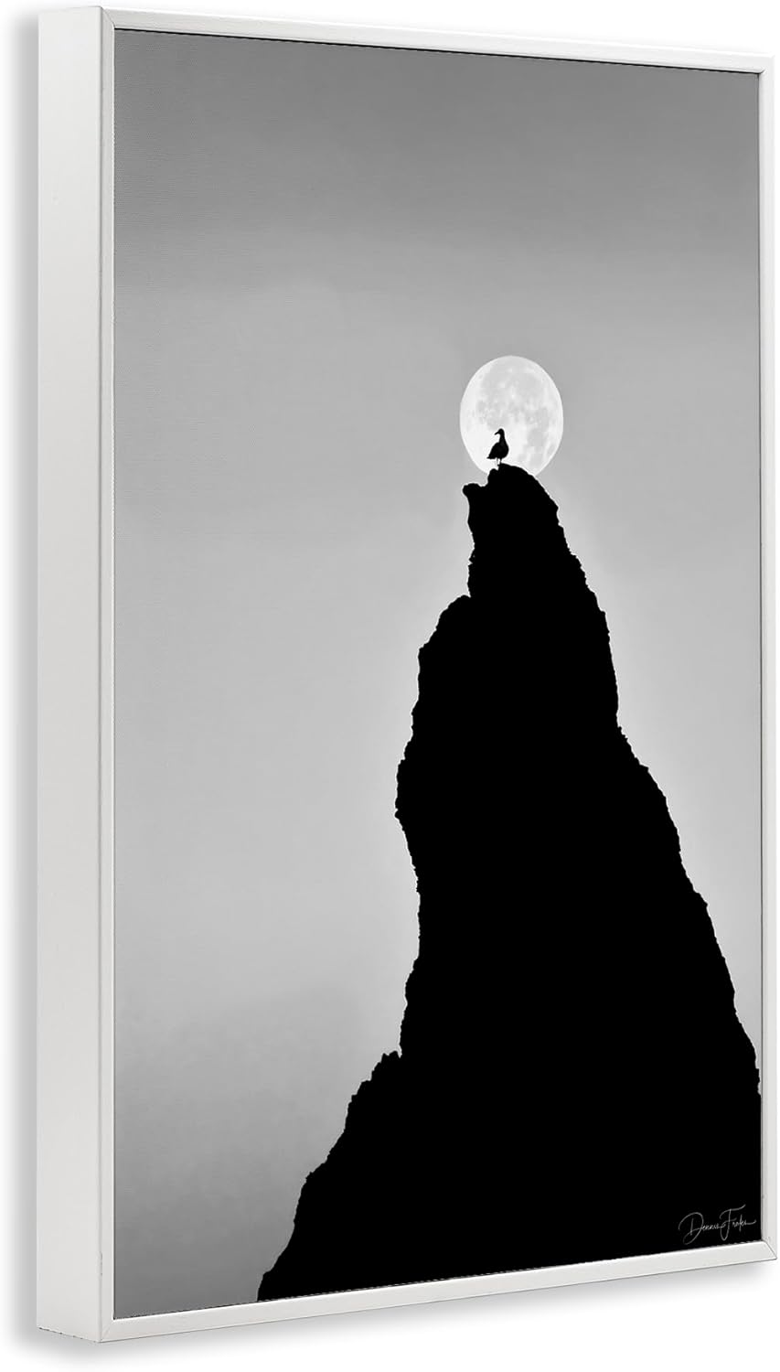 Stupell Industries Bird Silhouette on Peak Framed Giclee Art Design by Dennis Frates