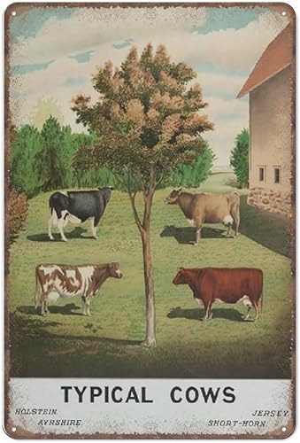 Miniatura 57 de Letreros creativos de lata con definición de agente inmobiliario, divertido letrero de metal retro para decoración de pared para el hogar, jardín