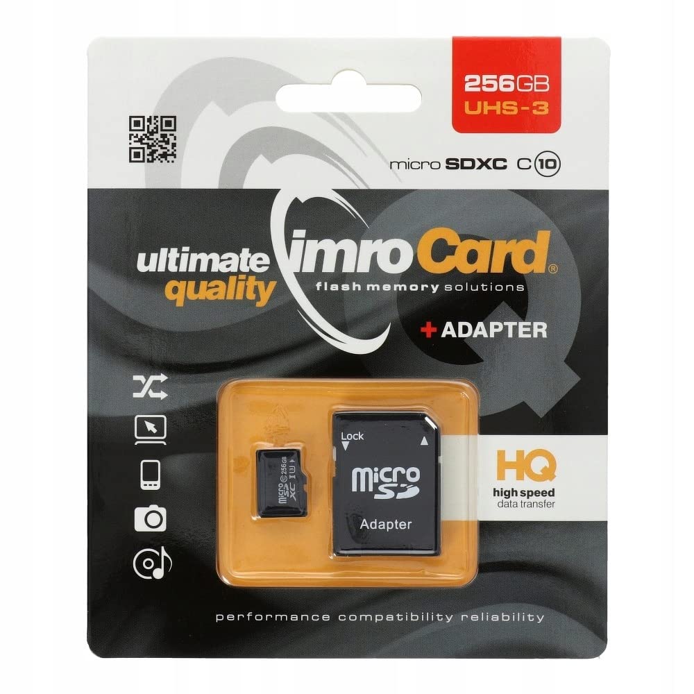 Carte Mémoire GoodRam 256Go (avec Adaptateur SD)