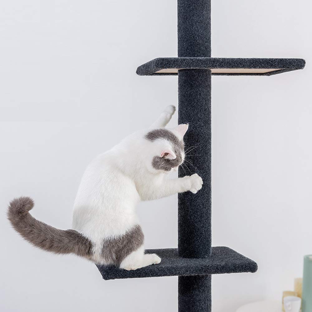 Buy SLifeeling Cat Climbing Toys Tower Structures Cat Climber Tree