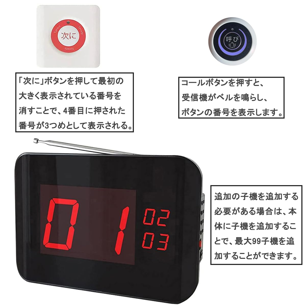 Amazon.co.jp: Tomarsy