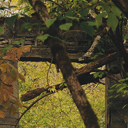 Amazon.co.jp Sailing Ships Boundary Run デジタルミュージック