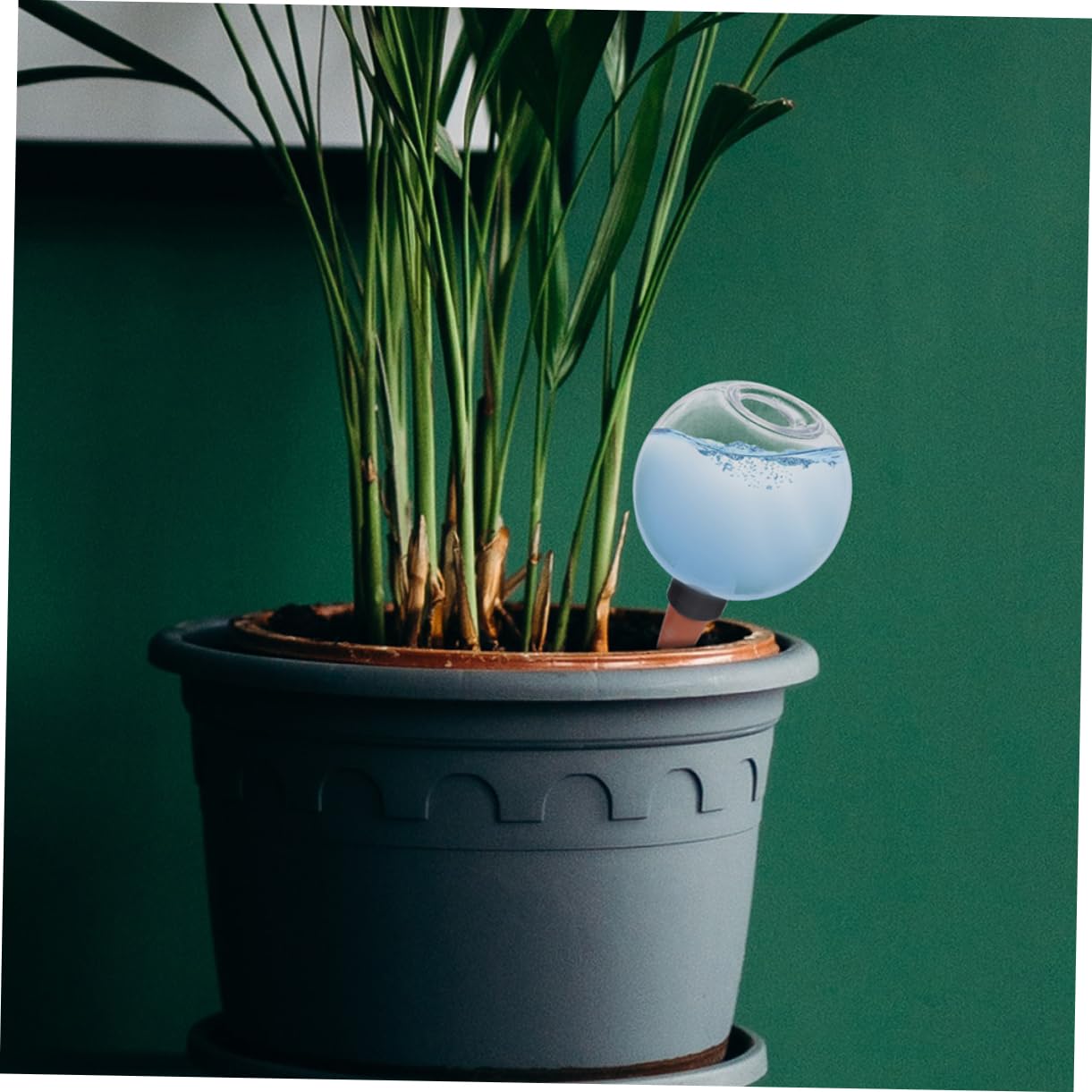Sosoport Lot De 3 Globes D'arrosage Automatique pour Plantes D'extérieur Kits D'irrigation À Système D'arrosage Automatique 2 Pièces X 3