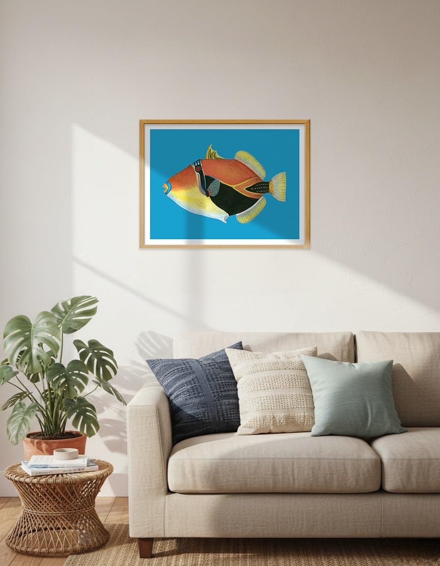 Amazon.com: Humuhumunukunukuāpuaʻa - Hawaiian Trigger Fish