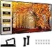 Leinwand Beamer, 16:9 HD Faltbarer verdickte Beamer Leinwand, Anti-Falten doppelseitige Projector Screen für Zuhause und Camping (120 Zoll)