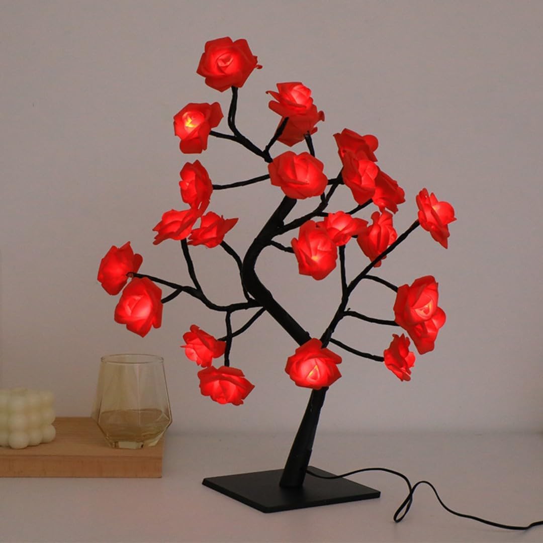 Ulalaza Rosenbaum Light with 24 LEDs USB Supply Warm Wire Bed Side Light with Switch for Home Room Decor
