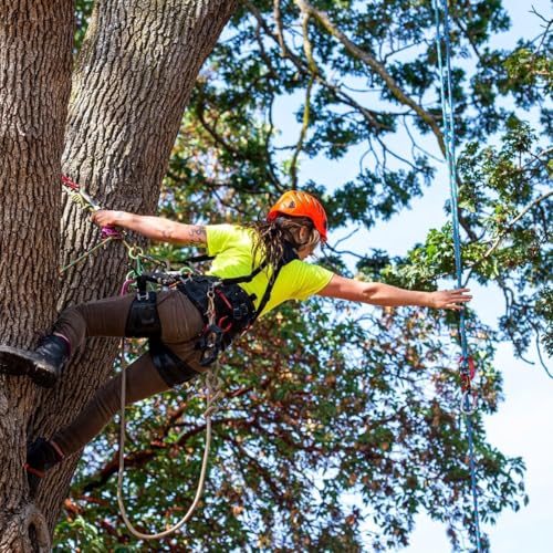 Derzinet Double Braided Arborist Rope -1/2 Inch X 100 Feet Polyester Rope- High Strength Climbing Rope For Adults & Kids Tree Work thumb #5