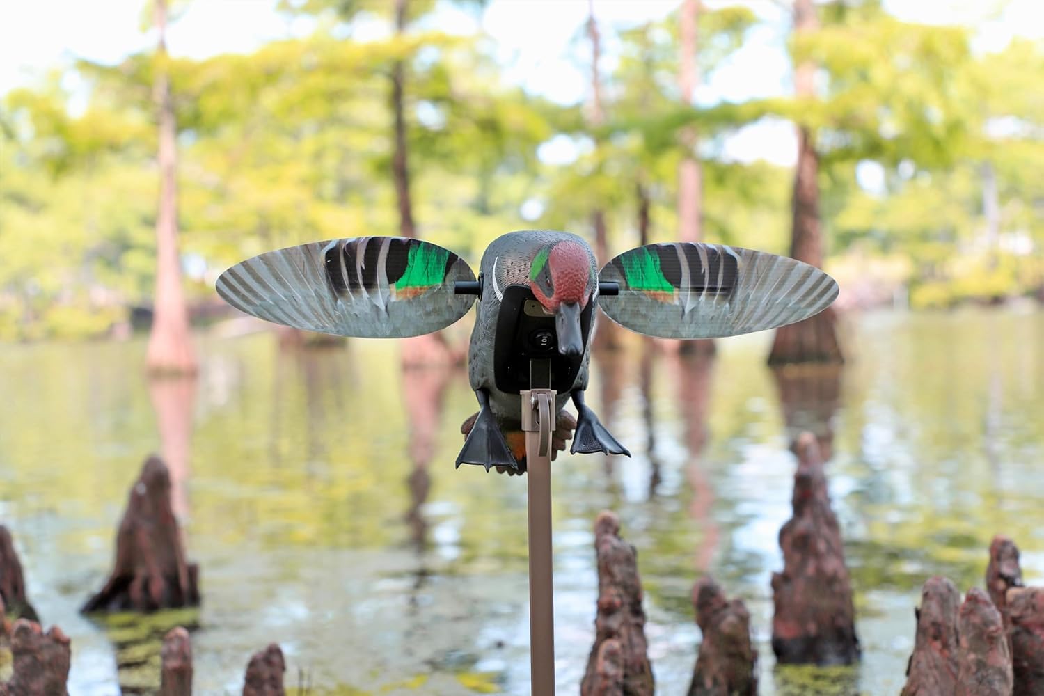 MOJO Elite Series - Señuelo de pato - Señuelo fácil de usar - Equipo de caza de patos y accesorios