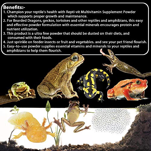 Image of Pet Care International (PCI) Repti-VIT || Provide Essential Vitamin & Nutrients || Healthy Reptile and Amphibians Healthcare (100 Grm, Repti VIT)
