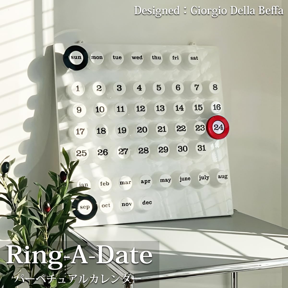 かいリングデイトカレンダー万年ウォールカレンダー リングデイトカレンダー Ring Date Calendar 万年カレンダー ウォール