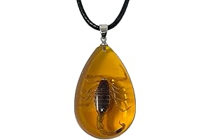 Captivating Real Scorpion Necklace: A Unique Tribute to Nature's Enigmatic Creature