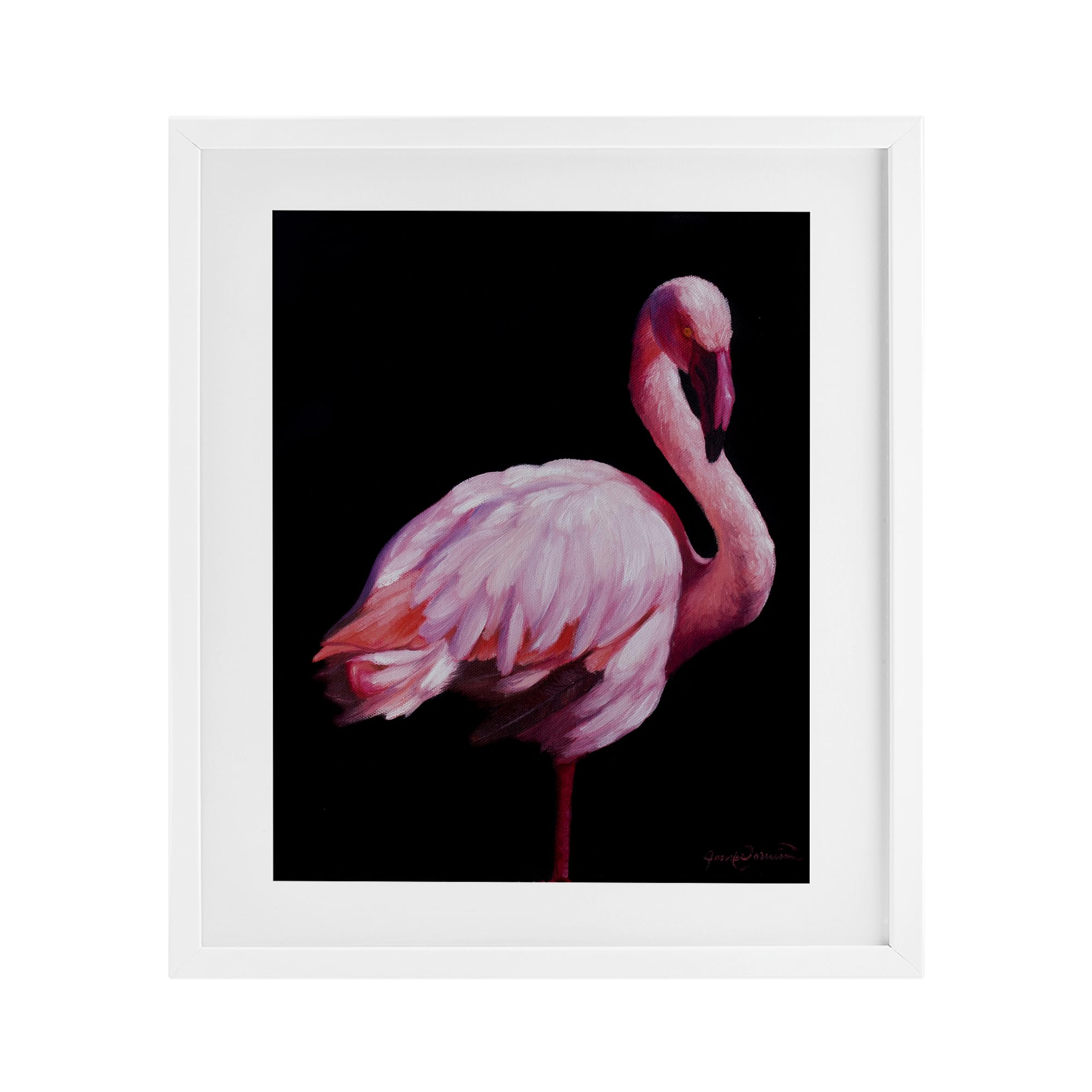 Flamant rose gris affiche encadrée exotique sous verre James Corwin