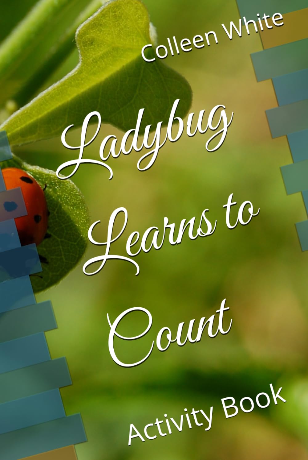 Ladybug Learns to Count: Activity Book