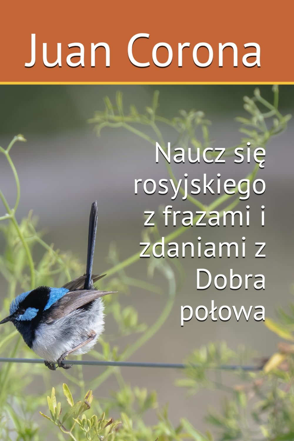 Naucz się rosyjskiego z frazami i zdaniami z Dobra połowa