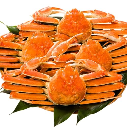 約5.5kg 7?12尾 訳ありズワイガニ姿(ボイル済) ずわいがに ずわい蟹 ズワイ蟹 蟹姿 カニ姿 ズワイガニ味噌 かにみそ 蟹みそ ボイルズワイ ボイルずわいがに 満足良品館カニ