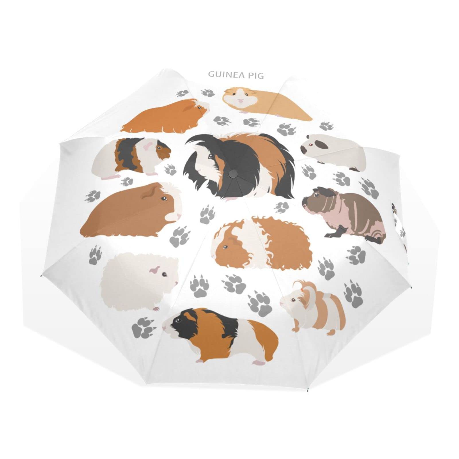 Poeticcity Guinea Pig Breeds Pet Rodents Isolated on White Rain Travel Umbrella, Hand Open Close Windproof Waterproof Folding Umbrella, Compact Canopy Strong Ray Parasol Umbrella