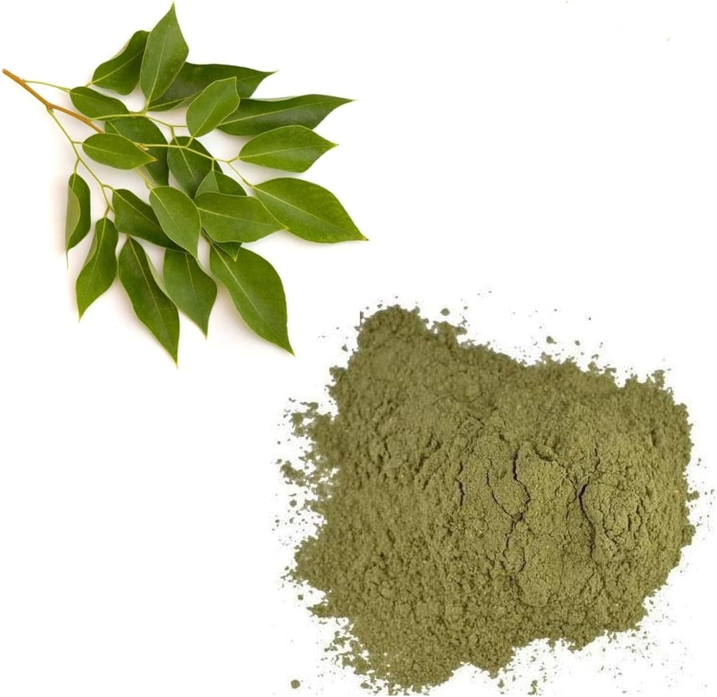 Sheesham Leaf Powder Ayurvedic Wellness Essential, Shisham Leaves Dry Powder, Sheesham, Sisam, Sissoo Powder, Dalbergia Sissoo, (100 Grams)