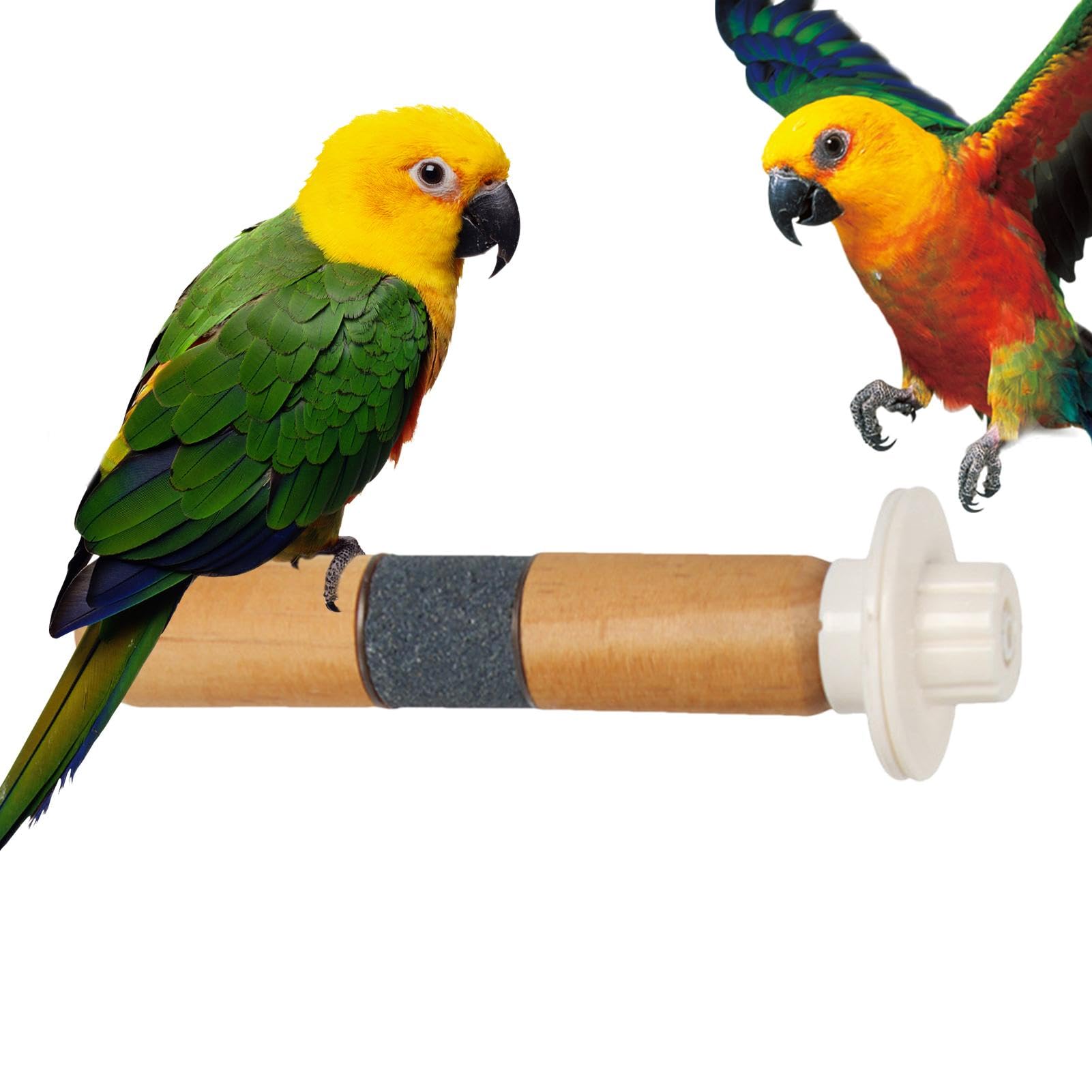 Amazon | 鳥とまり木スタンドおもちゃ、インコの足研削棒,オウム用木製