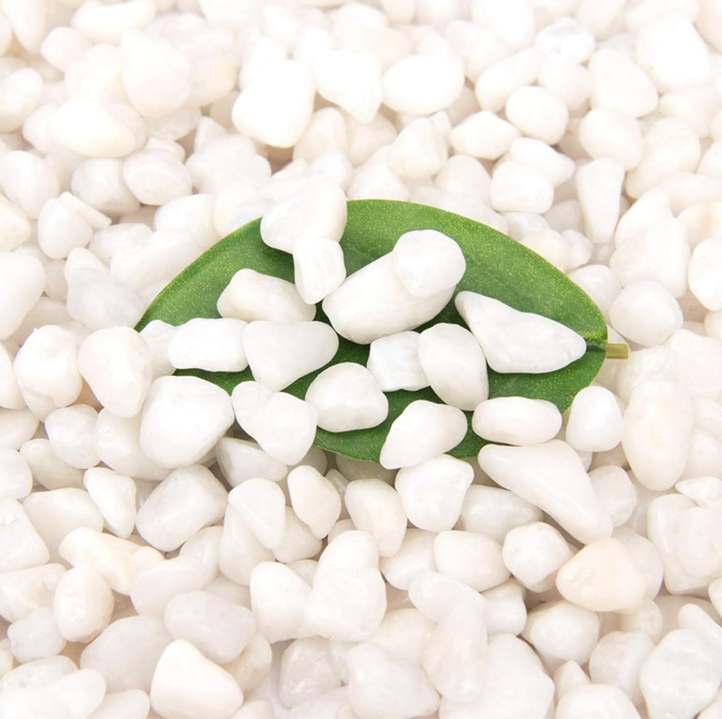 1 Kg White Colour Pebbles Stone for Home & Garden|| Indoor & Outdoor || Decoration,Vase Fillers|| Aquarium/Fish Tank 1