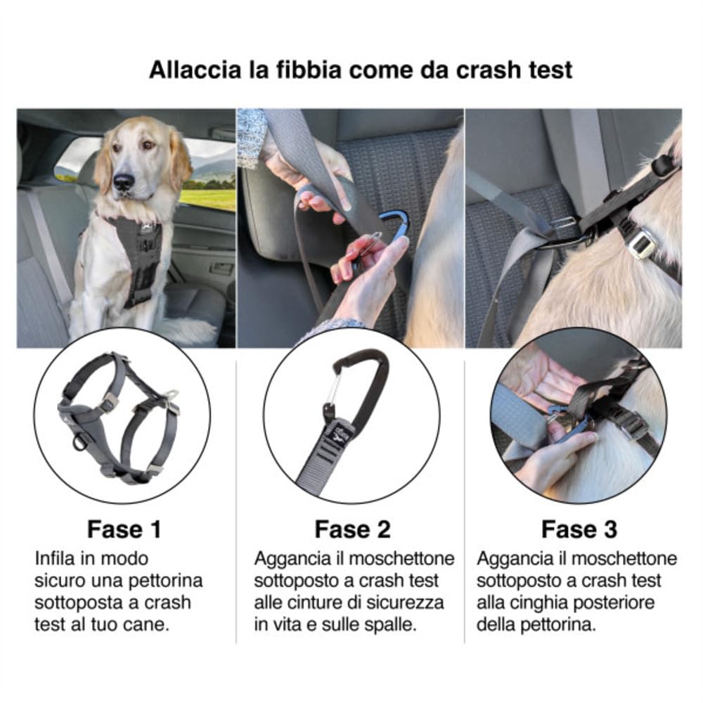 Kurgo Tru-Fit - Pettorina di Sicurezza per Auto per Cani con Regolazione a Cinque Punti e Fibbia di Sicurezza - Antracite - L
