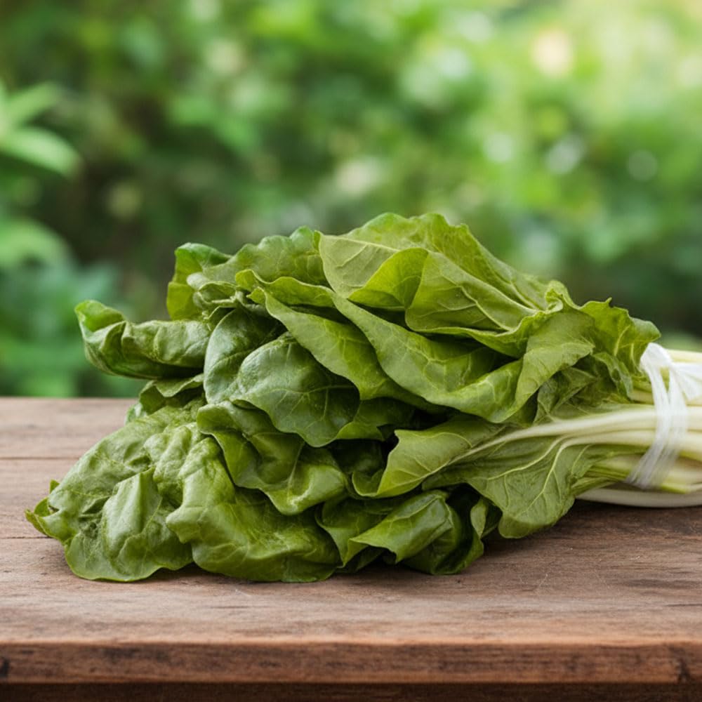 Swiss Chard Seeds – Bionda di Lione 2 – Early Variety with Tender Leaves & White Stalks – High Yield, Cut-and-Come-Again – Easy to Grow