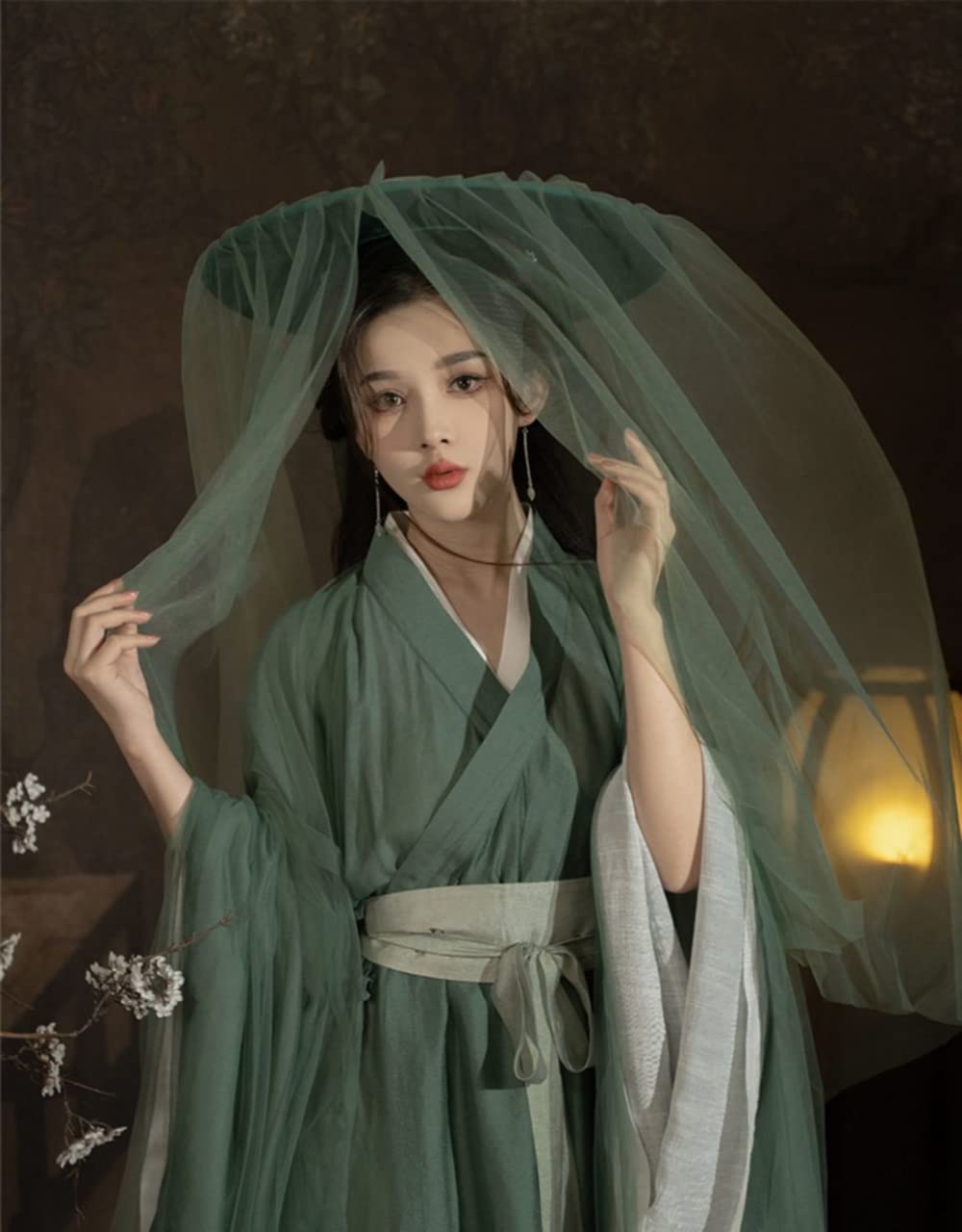 Występy sceniczne Cosplay，han chińska odzież， Sukienka Hanfu kobiety starożytny chiński tradycyjny zestaw Hanfu kobiece przebranie na karnawał(Large)