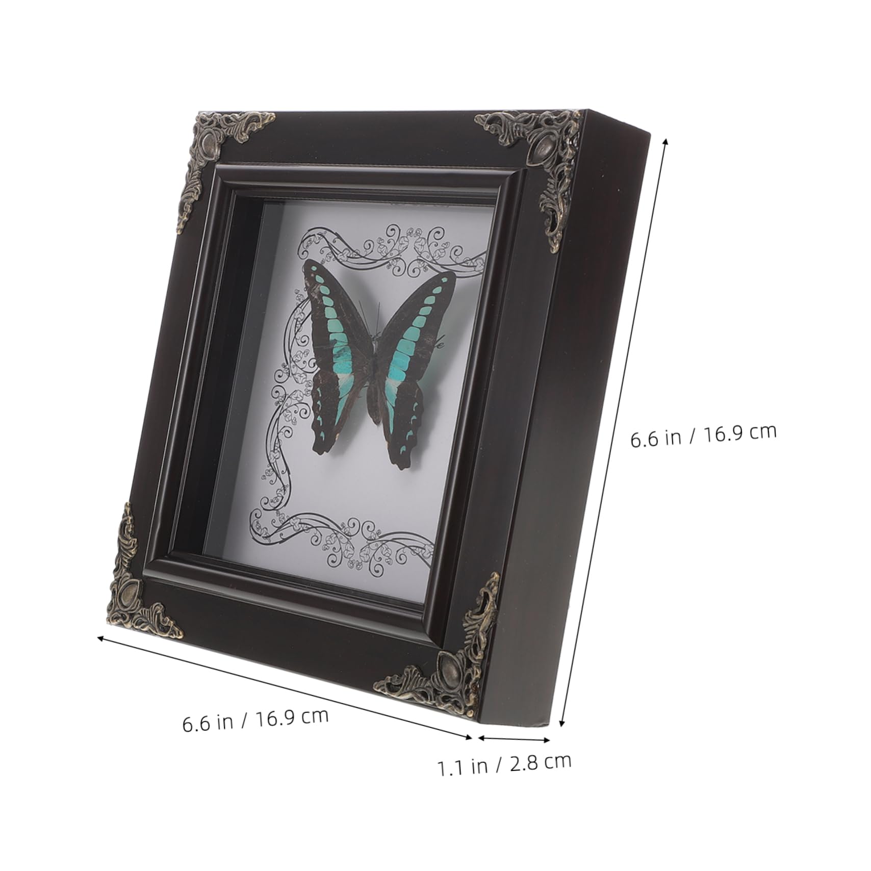 Abaodam Butterfly Photo Frame Butterfly Specimen Decor Butterflies Specimen Case Butterfly Framed Wall Art Framed Butterfly Insect Display Case Butterfly Specimen Framed Art Acrylic