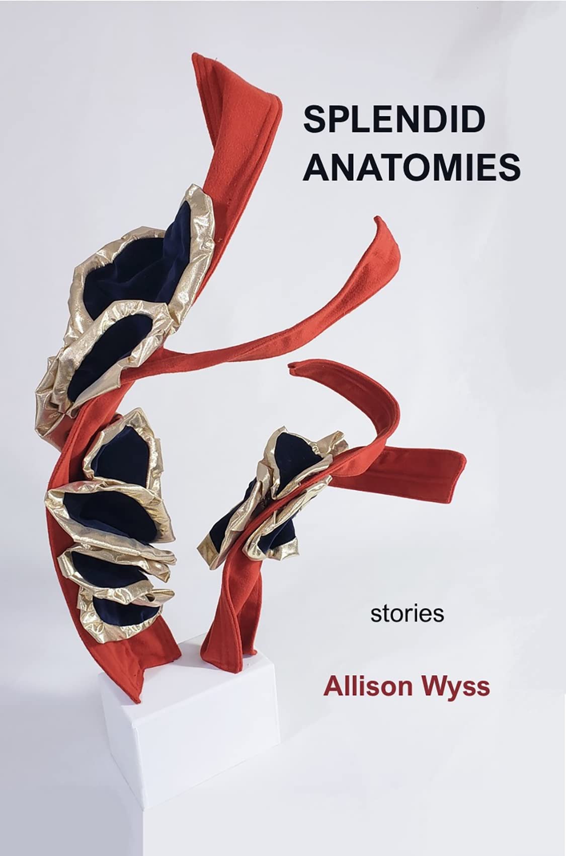 Cover of Splendid Anatomies
