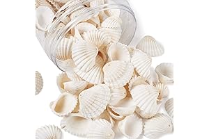 117 Pcs Natural Clam Shell Pendants Assortment
