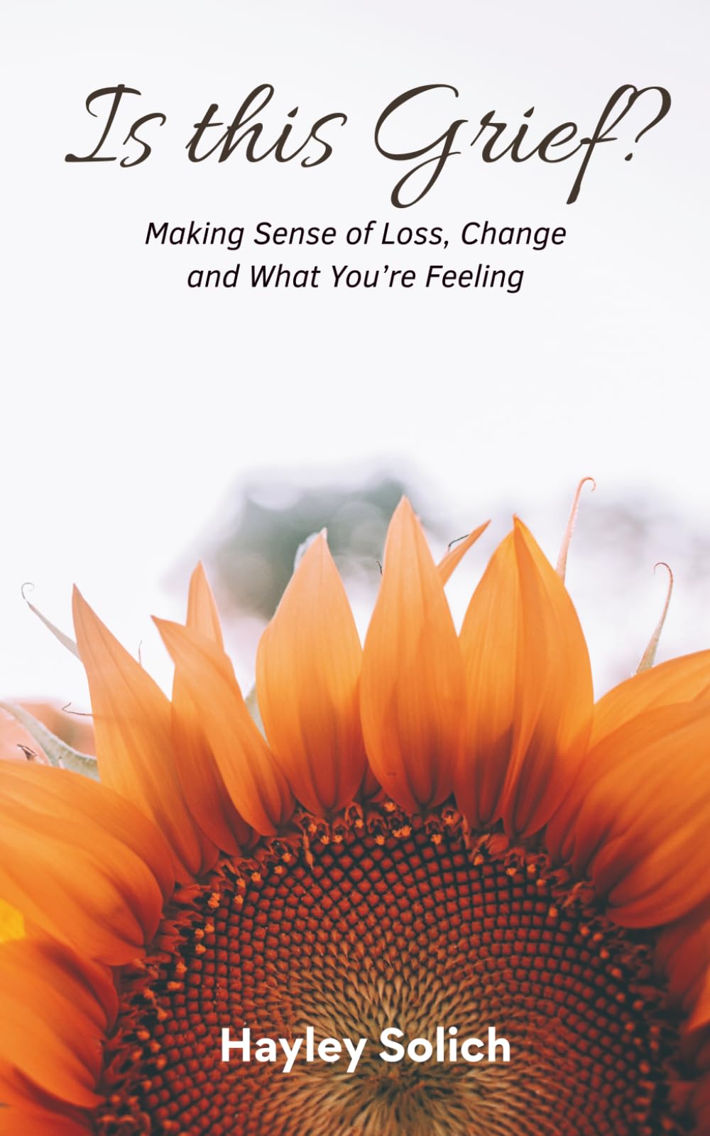 Is This Grief?: Making Sense of Loss, Change and What You’re Feeling