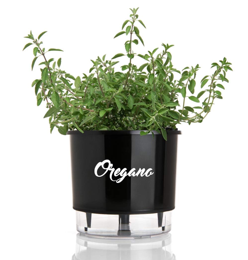 5.6 Inch Self Watering Planter Pot - Black Gourmet Spices Flower Herb Pot, Indoor and Outdoor Garden, Modern and Decorative Planter Pot for House Plants