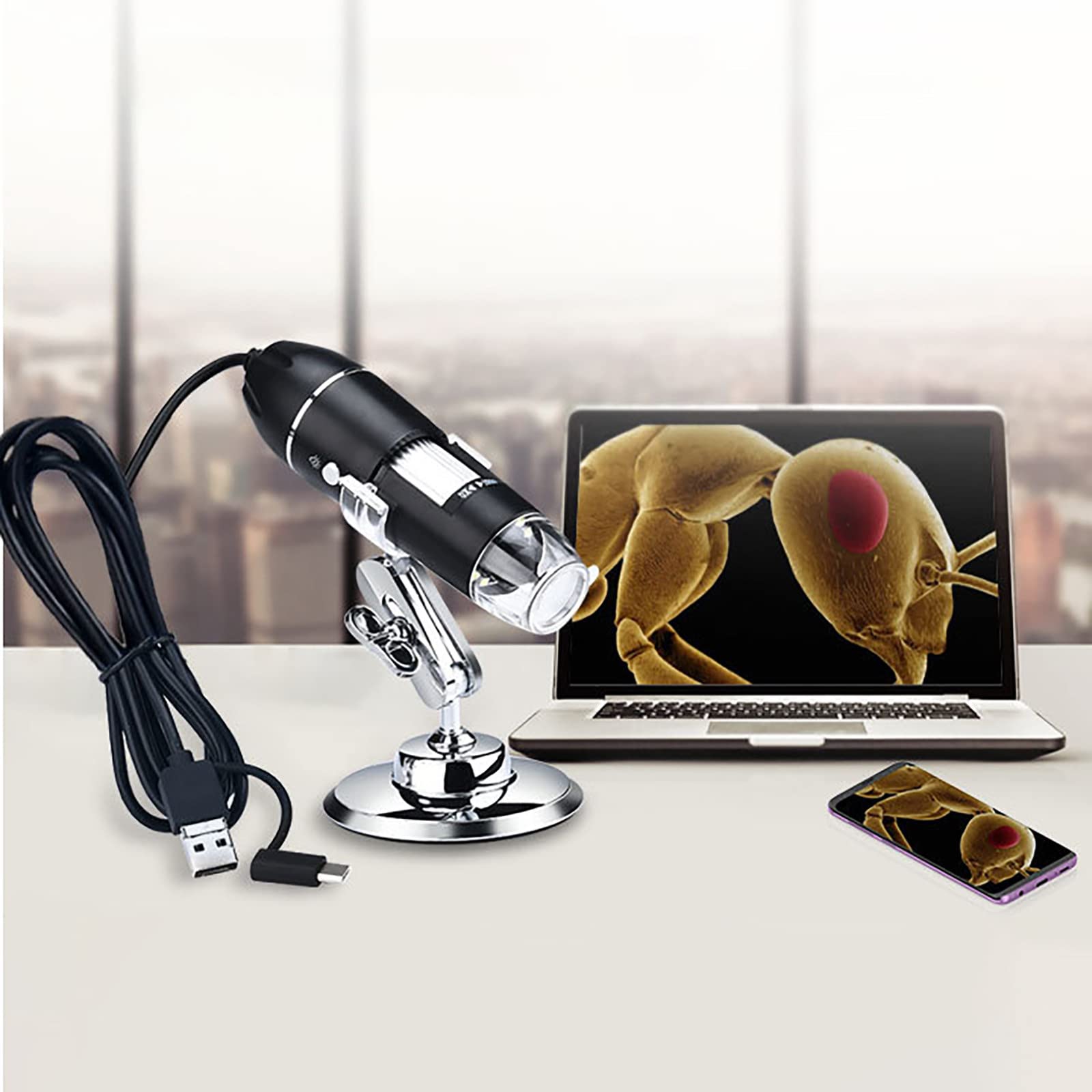 Buy Digital Micro,1000X Handheld Zoom Magnifying Endo, 3 In 1 (USB