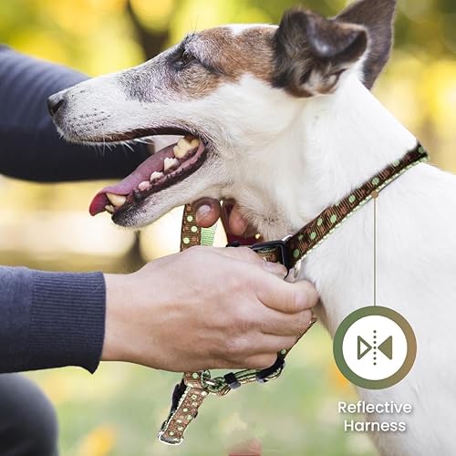 Miniatura 6 de Arnés para perro, arnés sin tirones, arnés para perro, arnés de fácil paseo, arnés para perro para cachorros, arnés para cachorros, color negro, XS