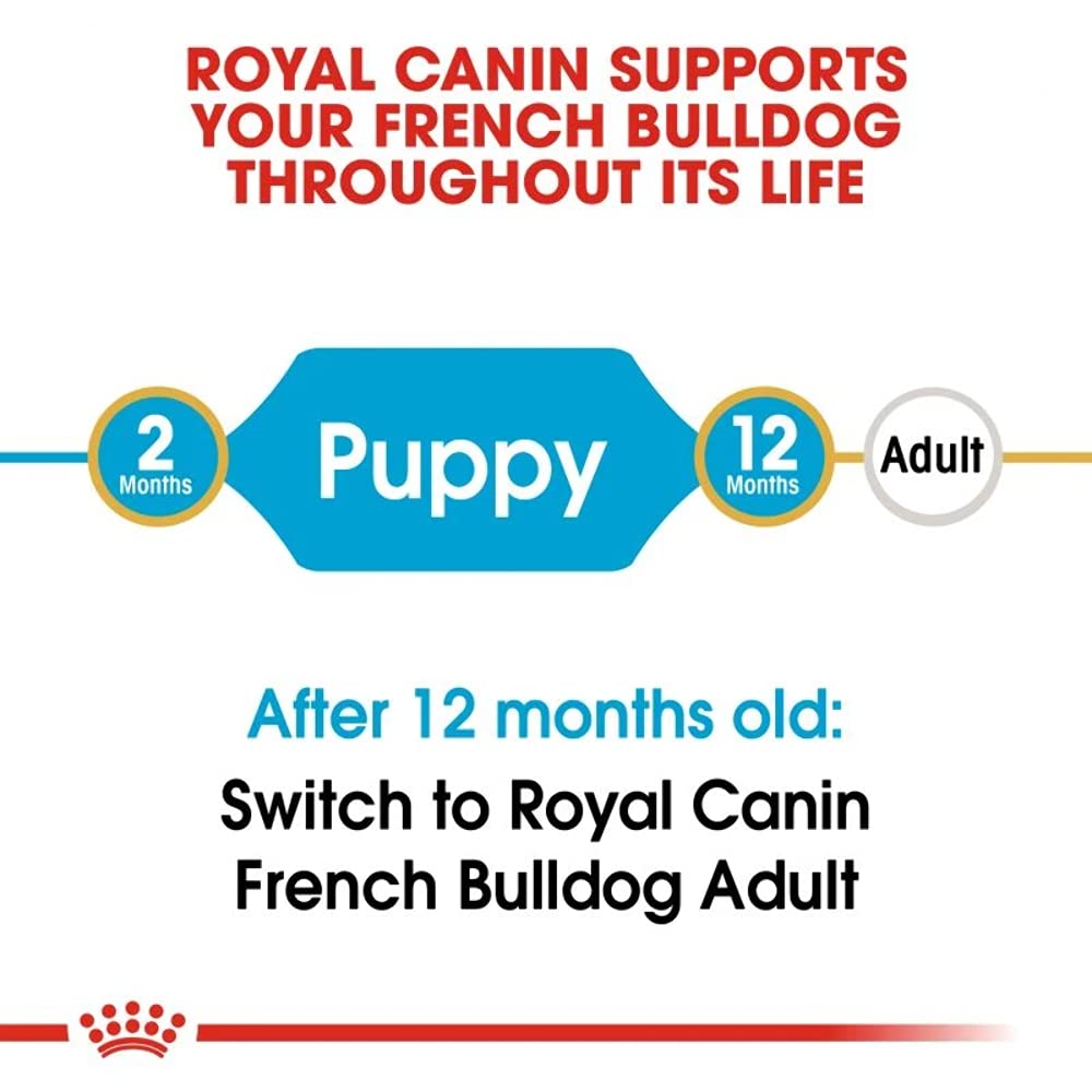 Royal Canin Bouledogue Français Junior 10.0 kg