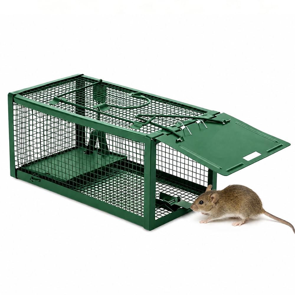 WDKXCN Humane Rat Traps, Reusable Cage Rats Traps, Live Rat Cage Trap, Humane Mouse-trap for Voles Hamsters and Small Animals, Great for Indoors Outdoors Use (Green, 24.5 x 12.5 x 10.5 cm)