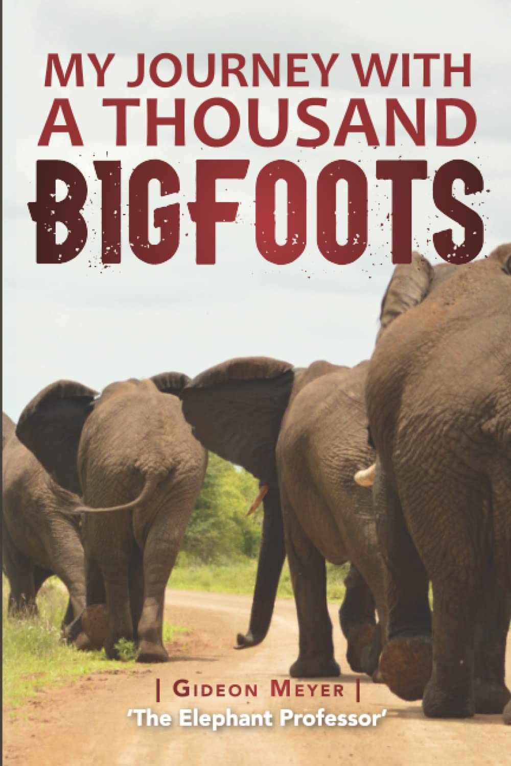 My Journey with a Thousand Bigfoots