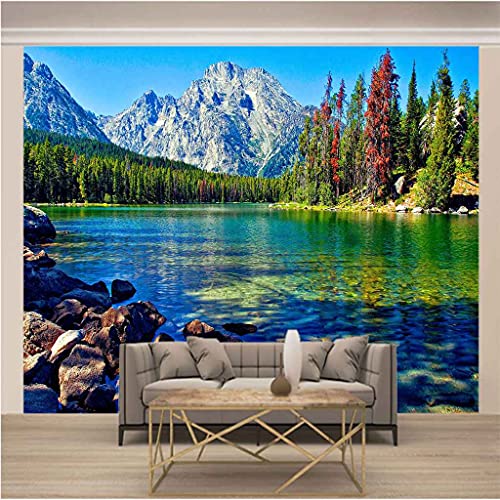 Poster geant mural paysage de foret lac decoration chambre coucher