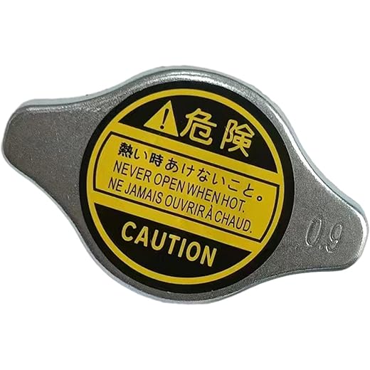 TRENDYNEST Auto Radiator Cover Accessory Cap Assembly Radia