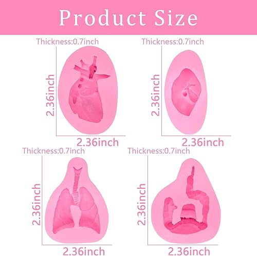 Miniatura 6 de 8 moldes de silicona para fondant de órganos, pulmón humano, corazón, cerebro, para decoración de pasteles de riñón gastrointestinal de Halloween,