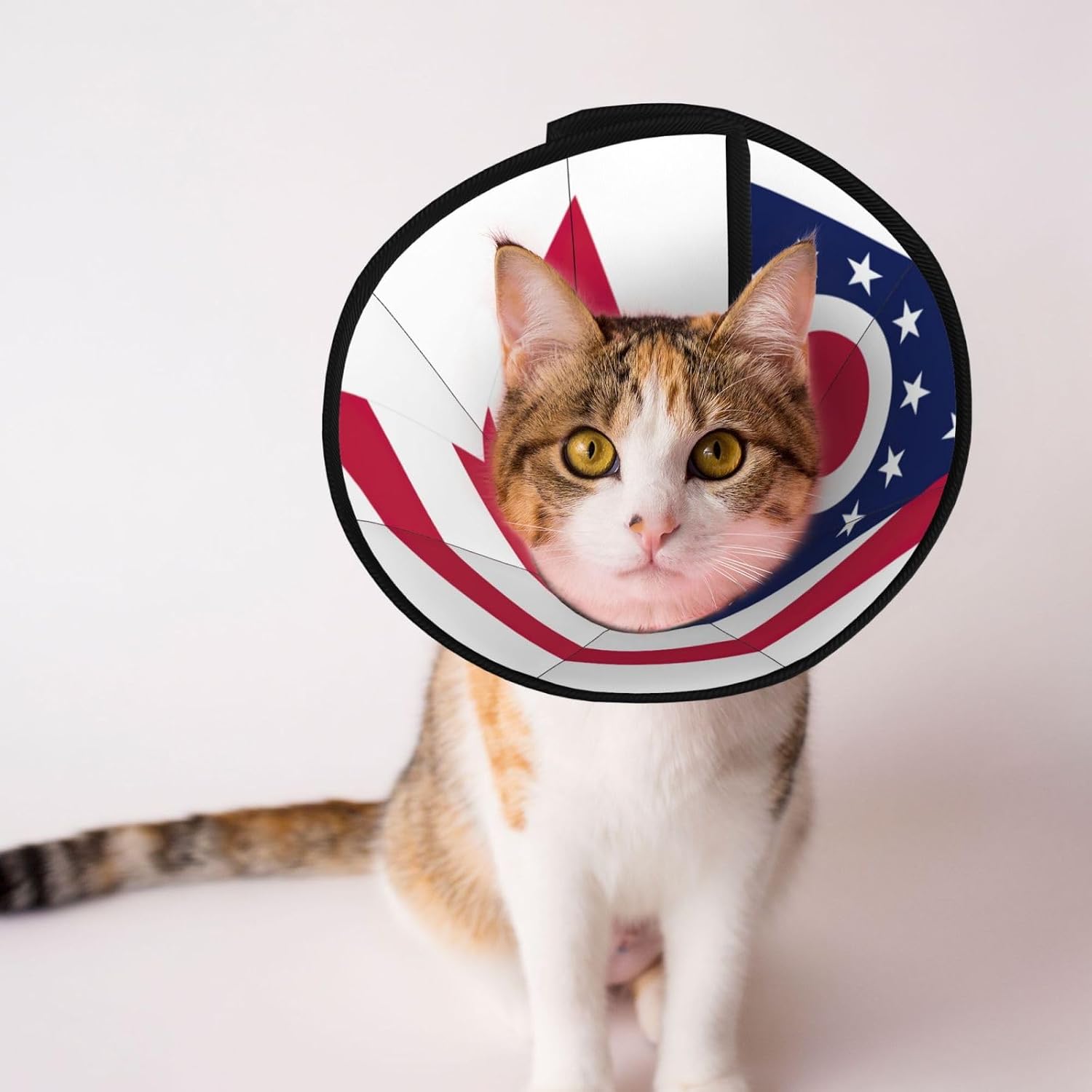 Ohio State Flag Print Cat Cone Collar, Adjustable Elizabethan Collar, Soft Dog Recovery Collars, for Small Large Cats