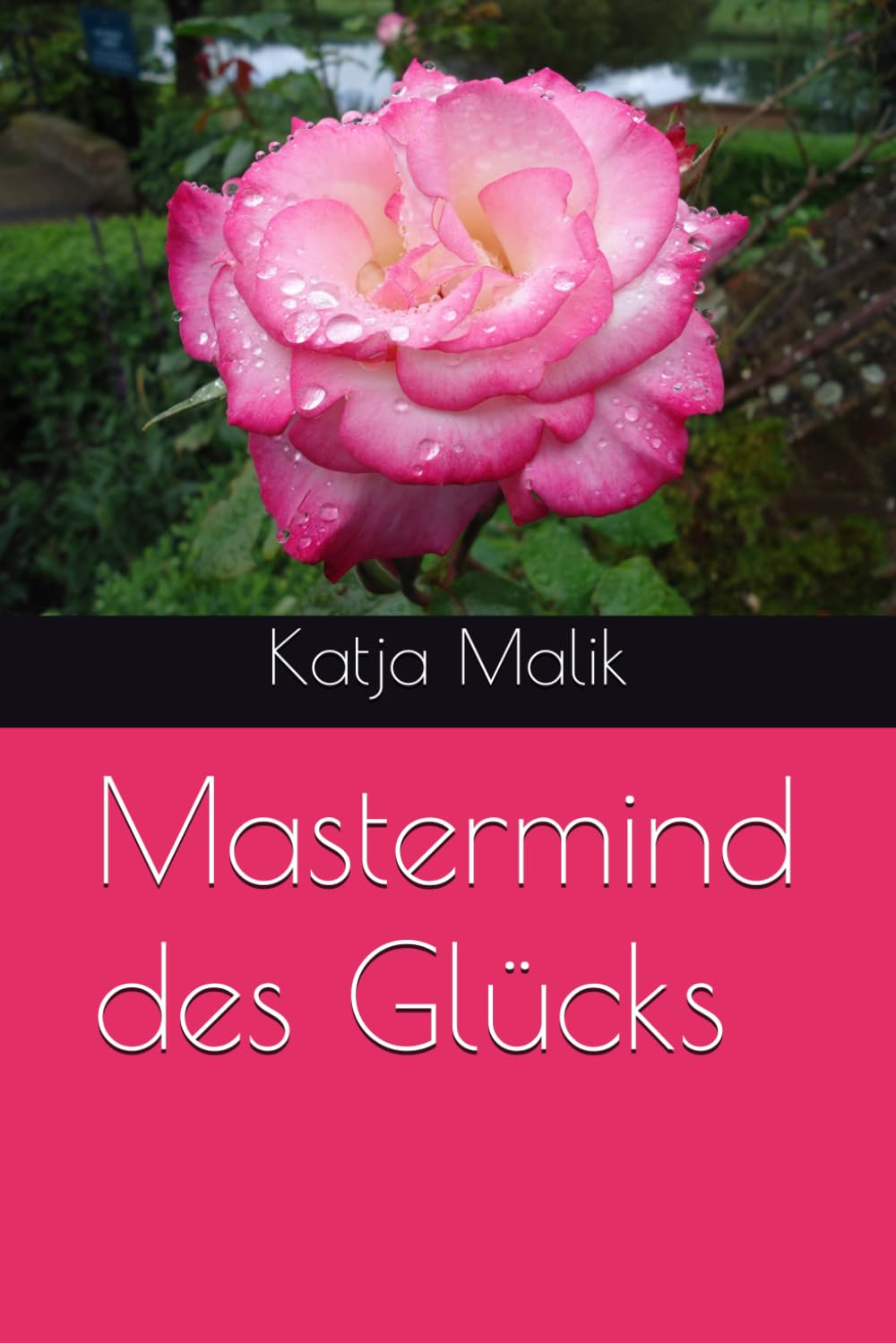 Mastermind des Glücks