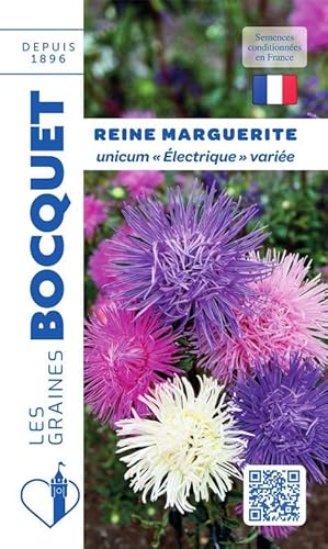Sachet de graines de Reine Marguerite Unicum - Electrique variée - 0,8 g - fleur annuelle - LES GRAINES BOCQUET