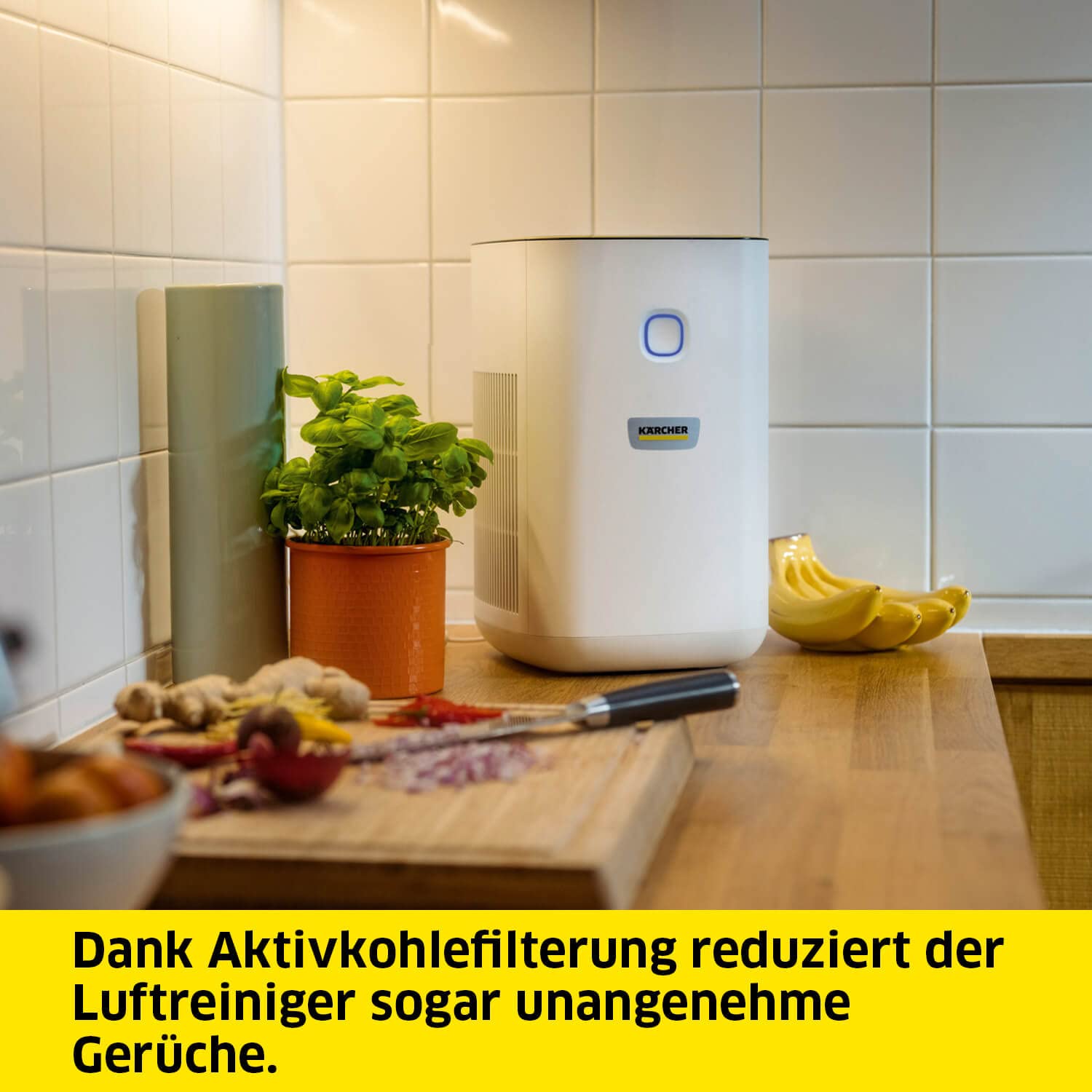 Kärcher Luftreiniger AF 20, Luftdurchsatz: 220m³/h, Raumgröße - 20-40 m², beseitigt 99,95% der Partikel bis zu 0,3μm wie Feinstaub, Aerosole, Allergene & Gerüche, Automatik-Funktion, Timer, Nachtmodus