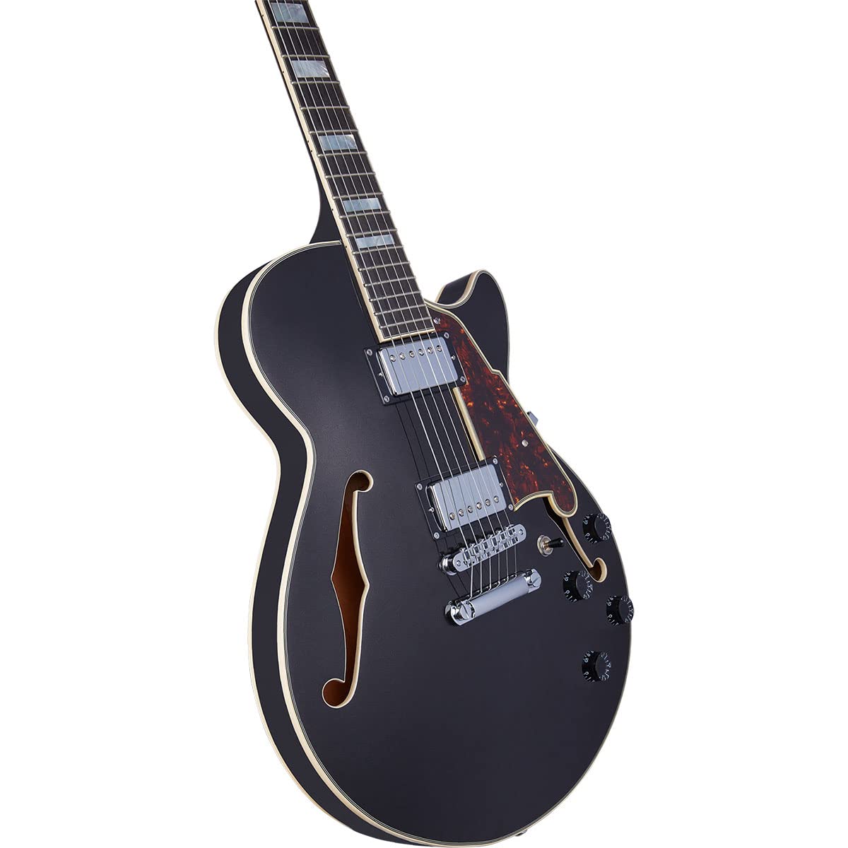 Amazon | D'Angelico Premier SS, Black Flake | エレアコギター