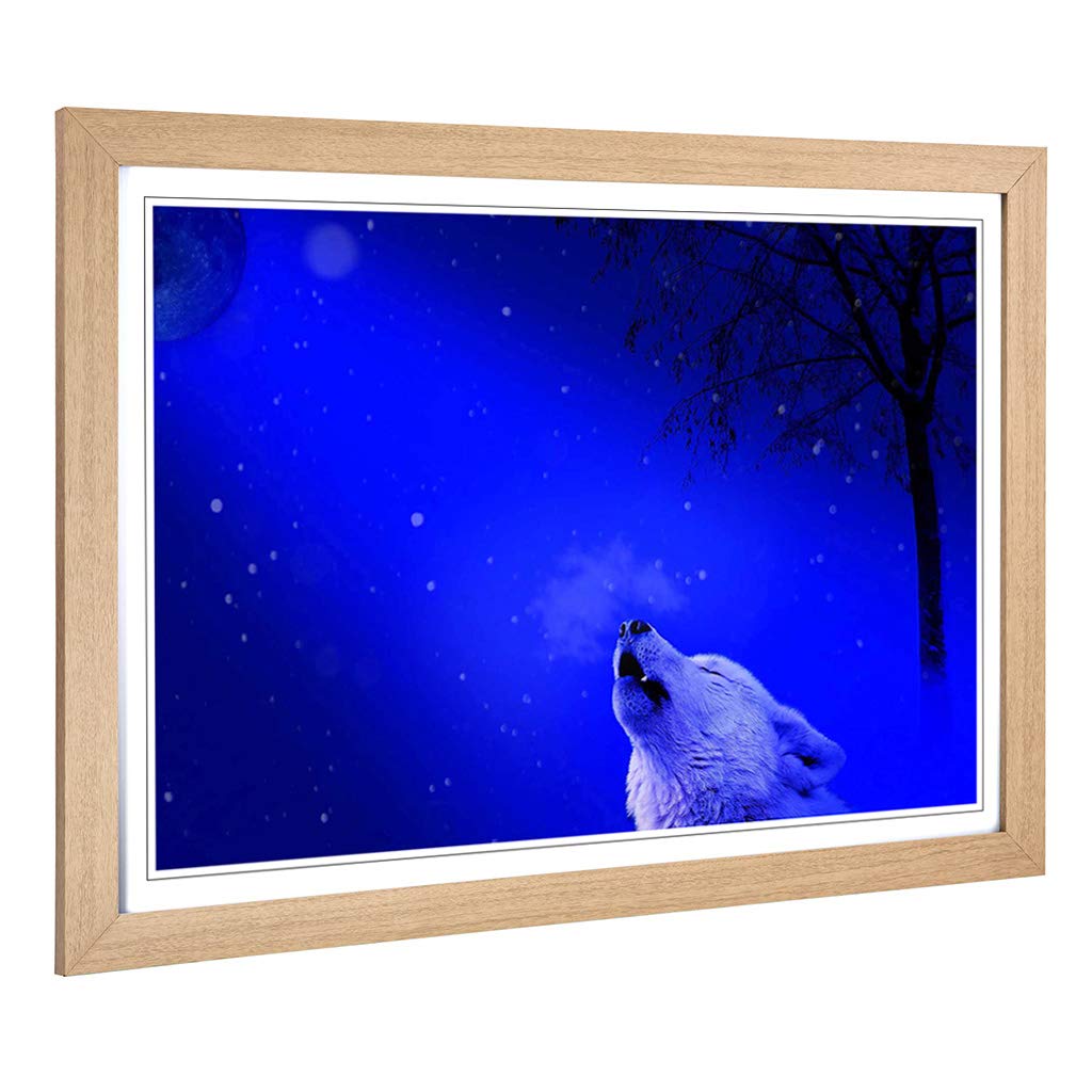 Big Box Art Framed Print of Howling White Wolf Design | Wall Art Picture | Home Decor for Kitchen, Living, Dining Room, Lounge, Bedroom, Hallway, Office, Oak, A2 / 24.5x18 Inch / 62x45cm